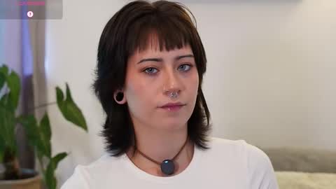 Blue online show from 11, 2, 2026