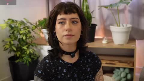 Blue online show from 14, 4, 2026