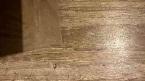 Snapshot of xxwave1312 chatting on 8, 3, 2026 Antonio del Pa ero online show from 8, 3, 2026