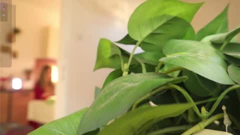 Xxxoka online show from 6, 3, 2025