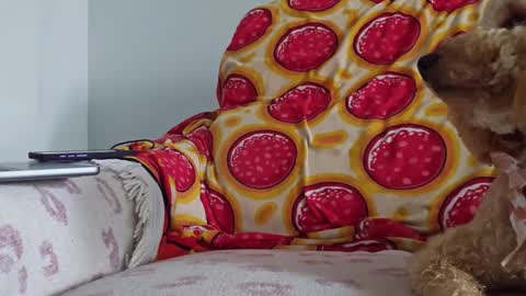 TonyDoesMiami online show from 26, 1, 2025