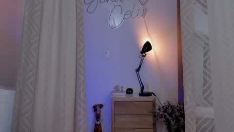 YANDRA CELIS online show from 24, 12, 2024