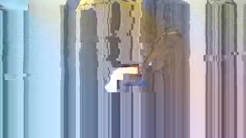 yangolox3 online show from 7, 3, 2026