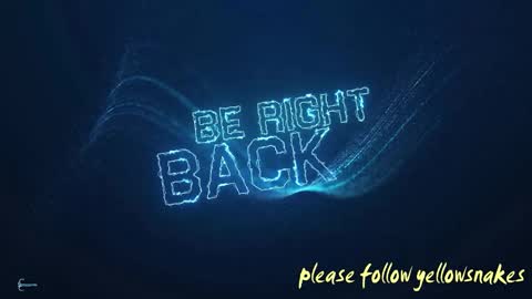 Snapshot of yellowsnakes chatting on 10, 10, 2025 . y e l l o w s n a k e s . online show from 10, 10, 2025