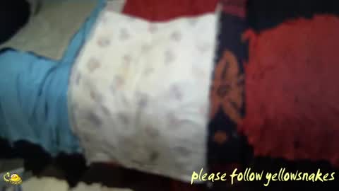 Snapshot of yellowsnakes chatting on 7, 11, 2025 . y e l l o w s n a k e s . online show from 7, 11, 2025