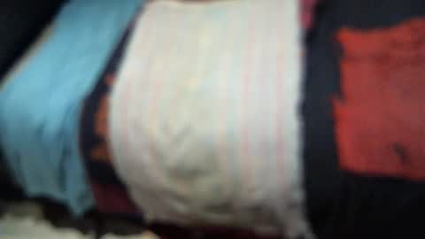 Snapshot of yellowsnakes chatting on 9, 11, 2025 . y e l l o w s n a k e s . online show from 9, 11, 2025