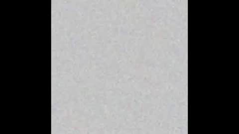 Snapshot of yellowsnakes chatting on 24, 11, 2025 . y e l l o w s n a k e s . online show from 24, 11, 2025