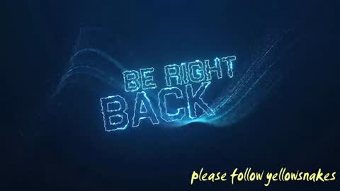 Snapshot of yellowsnakes chatting on 24, 11, 2025 . y e l l o w s n a k e s . online show from 24, 11, 2025