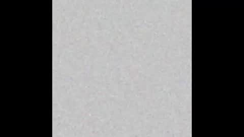 Snapshot of yellowsnakes chatting on 4, 12, 2025 . y e l l o w s n a k e s . online show from 4, 12, 2025