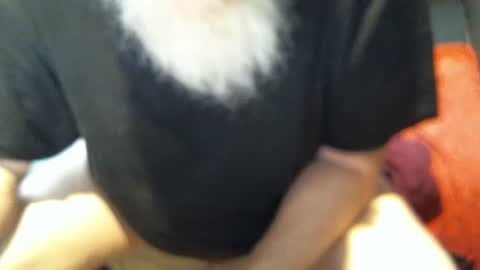 Snapshot of yellowsnakes chatting on 5, 12, 2025 . y e l l o w s n a k e s . online show from 5, 12, 2025