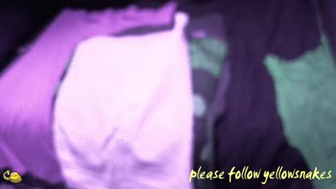 Snapshot of yellowsnakes chatting on 17, 12, 2025 . y e l l o w s n a k e s . online show from 17, 12, 2025