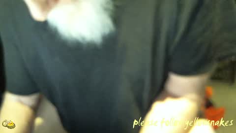 Snapshot of yellowsnakes chatting on 14, 1, 2026 . y e l l o w s n a k e s . online show from 14, 1, 2026