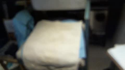 Snapshot of yellowsnakes chatting on 3, 2, 2026 . y e l l o w s n a k e s . online show from 3, 2, 2026