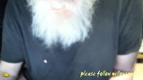 Snapshot of yellowsnakes chatting on 10, 2, 2026 . y e l l o w s n a k e s . online show from 10, 2, 2026