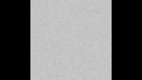 Snapshot of yellowsnakes chatting on 4, 3, 2026 . y e l l o w s n a k e s . online show from 4, 3, 2026