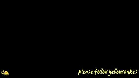 .     y e l l o w s n a k e s       . online show from 15, 4, 2026