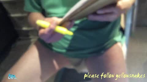 .     y e l l o w s n a k e s       . online show from 25, 6, 2026