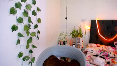Snapshot of yemfairymcry chatting on 10, 6, 2026 YEM online show from 10, 6, 2026