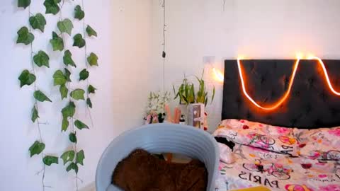 Snapshot of yemfairymcry chatting on 11, 6, 2026 YEM online show from 11, 6, 2026