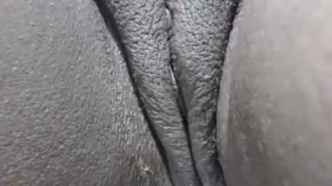 Snapshot of yirily chatting on 21, 3, 2026 yirily online show from 21, 3, 2026