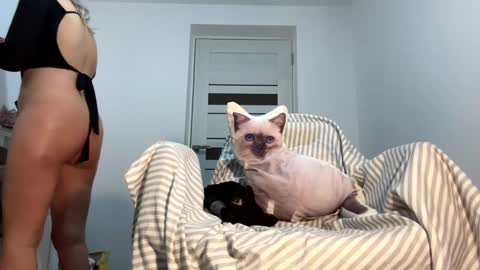 Snapshot of you_love_melisa chatting on 31, 1, 2025 private on 18 per minute start private 500 tokensOnlyfans online show from 31, 1, 2025