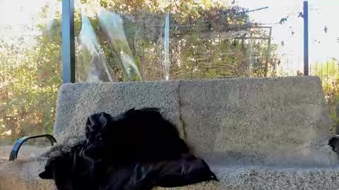 Snapshot of you_love_melisa chatting on 29, 10, 2025 private on 18 per minute start private 500 tokensOnlyfans online show from 29, 10, 2025