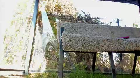 Snapshot of you_love_melisa chatting on 2, 11, 2025 private on 18 per minute start private 500 tokensOnlyfans online show from 2, 11, 2025