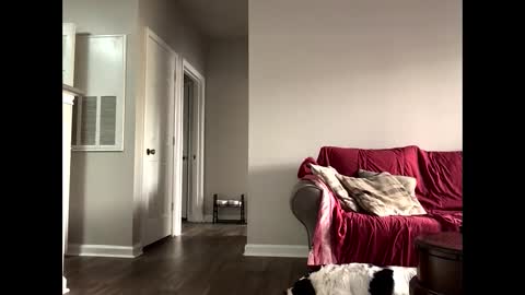 Snapshot of youneverknowimight2 chatting on 14, 10, 2025 kindahorny online show from 14, 10, 2025