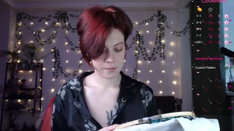 Snapshot of your_corvus chatting on 2, 12, 2024 your_corvus online show from 2, 12, 2024