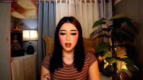 kim online show from 24, 11, 2025