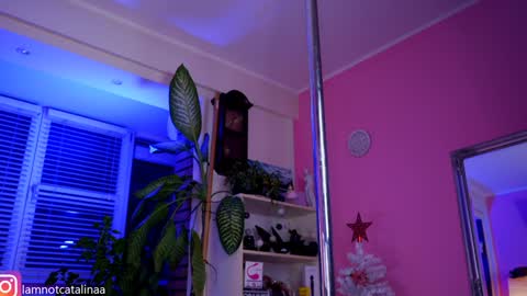 YourBabyPearl online show from 7, 1, 2025