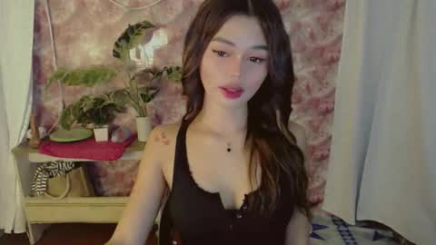 Sunshine online show from 27, 5, 2026
