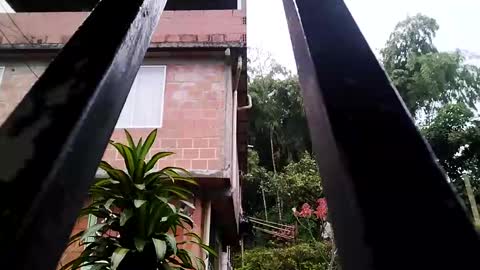 yourgodzeus online show from 3, 3, 2025