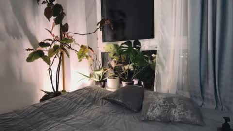 Aida online show from 8, 3, 2025