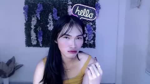    online show from 24, 2, 2025