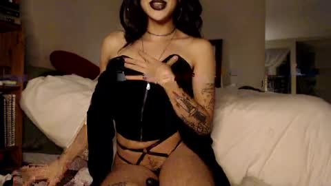 angel pvssy online show from 12, 5, 2026