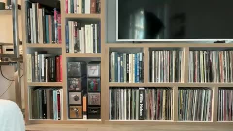 Snapshot of yumiandwolf chatting on 5, 3, 2025 yumiandwolf online show from 5, 3, 2025