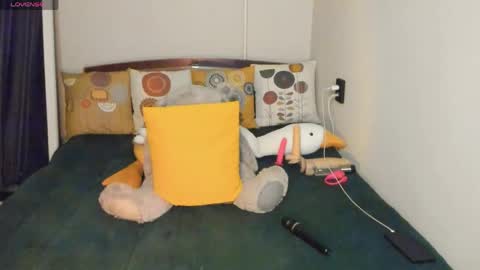 KIM online show from 22, 4, 2026