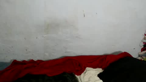 yummytittsxx online show from 2, 3, 2026