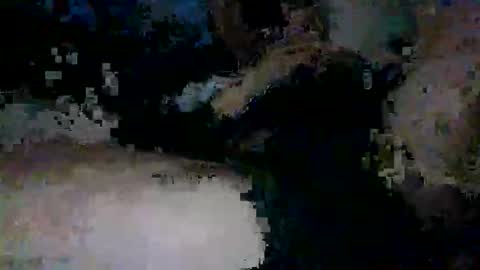 Snapshot of yungnympho25 chatting on 29, 5, 2026 yungnympho25 online show from 29, 5, 2026