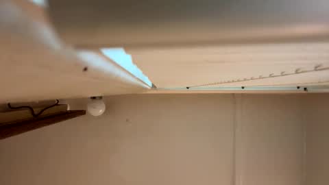 Snapshot of yungstudbev chatting on 1, 3, 2026 yungstudbev online show from 1, 3, 2026