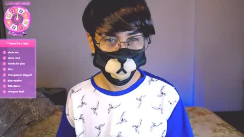 the puppy boy online show from 30, 7, 2026