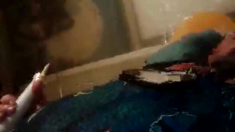 Z0RL0C online show from 2, 6, 2026