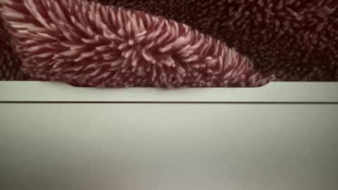 z95141 online show from 22, 10, 2025