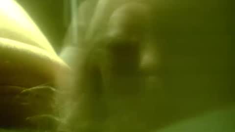 zaboski4 online show from 25, 2, 2026