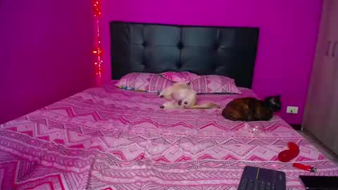 ZARA ANYELINA online show from 14, 12, 2024