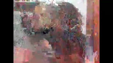 Zatth online show from 14, 2, 2026