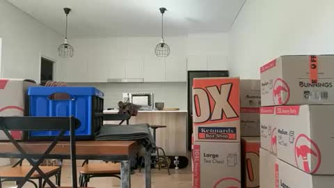 zeroventure online show from 31, 3, 2026