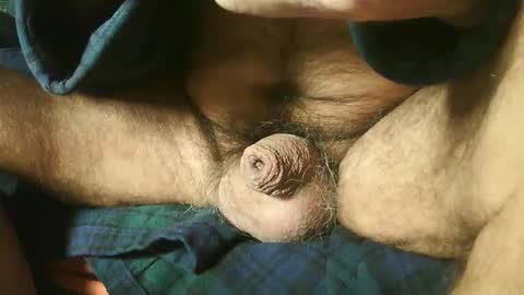 Snapshot of zevioo77 chatting on 22, 12, 2024 zevioo77 online show from 22, 12, 2024