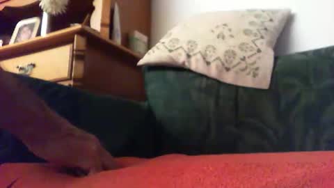 Snapshot of zevioo77 chatting on 14, 9, 2025 zevioo77 online show from 14, 9, 2025